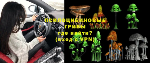 apvp Усмань