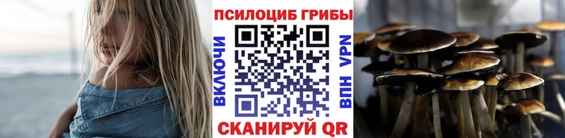 Псилоцибиновые грибы Magic Shrooms  Плёс 